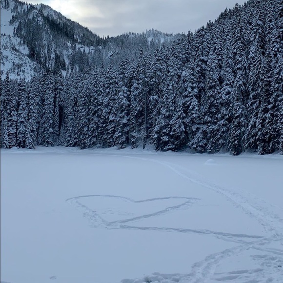 Meet your Posher, Tawnya - Picture 1 of 2